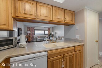 4141 Bayshore Blvd-Unit -#1002 in Tampa, FL - Building Photo - Building Photo