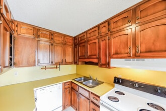 1025 Minor Dr in Birmingham, AL - Building Photo - Building Photo