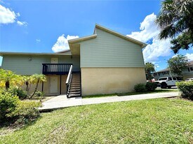 231 Red Maple Pl in Brandon, FL - Building Photo