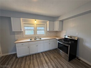 1305 Curtis St in Akron, OH - Foto de edificio - Building Photo