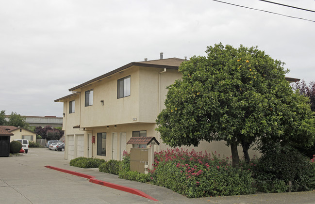 907 Elgin St in San Lorenzo, CA - Building Photo - Building Photo