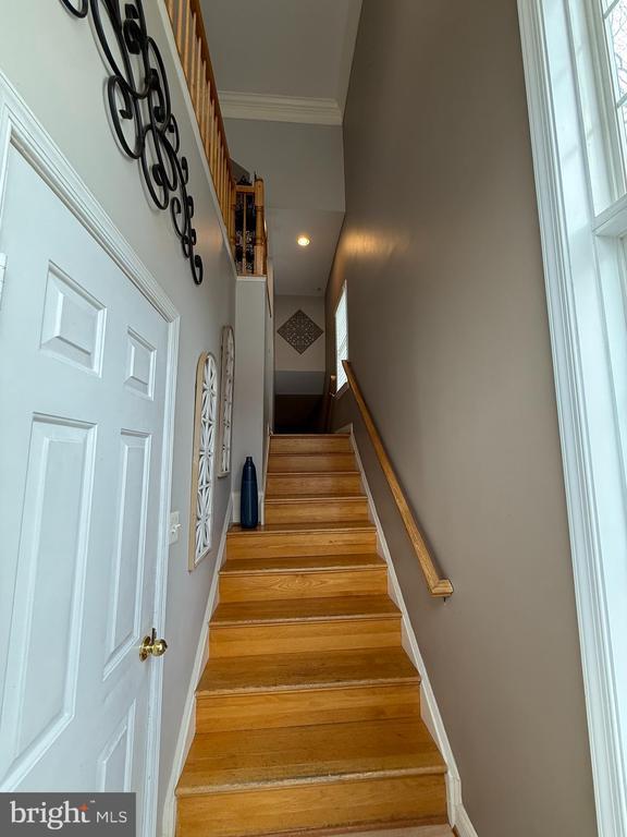 2142 Capstone Cir in Herndon, VA - Building Photo - Building Photo