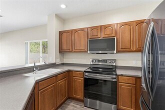 20484 Needletree Dr in Tampa, FL - Building Photo - Building Photo