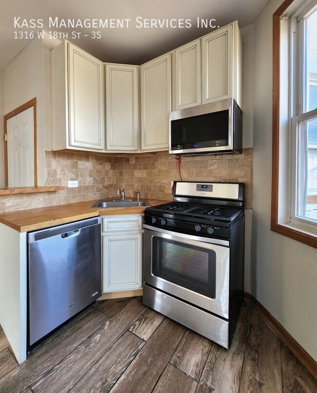 1316 W 18th St in Chicago, IL - Building Photo - Building Photo