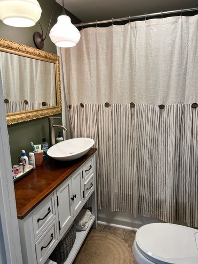 208 N Lewis St in Lexington, VA - Building Photo - Building Photo