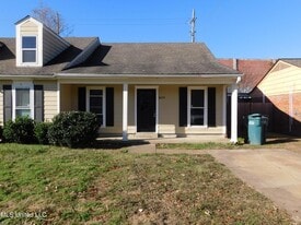 8095 Martha Ann Ln in Southaven, MS - Building Photo