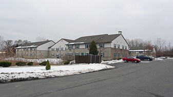Whitehall Court Senior Apartments in Albany, NY - Building Photo