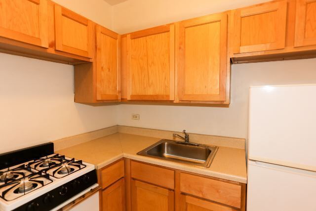 1167 N Dearborn in Chicago, IL - Building Photo - Building Photo
