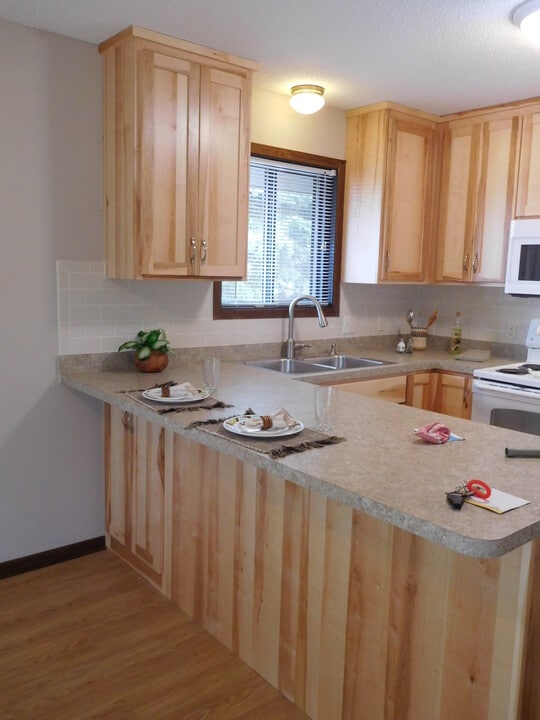 511 Madison St, Unit 1 in Anoka, MN - Building Photo