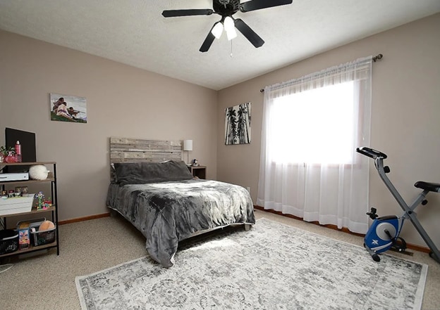 1308 Edgewood Blvd in Papillion, NE - Building Photo - Building Photo