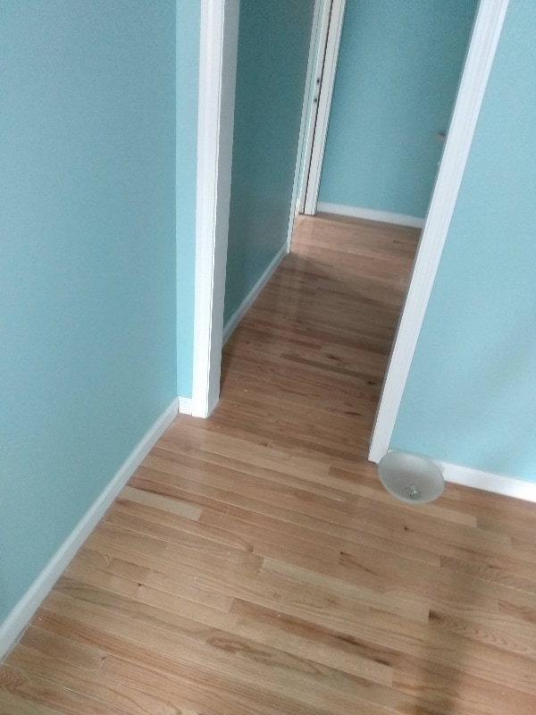 47 Grant St in Springfield, MA - Building Photo - Building Photo