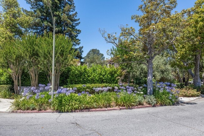 590 Center Dr in Palo Alto, CA - Building Photo - Building Photo