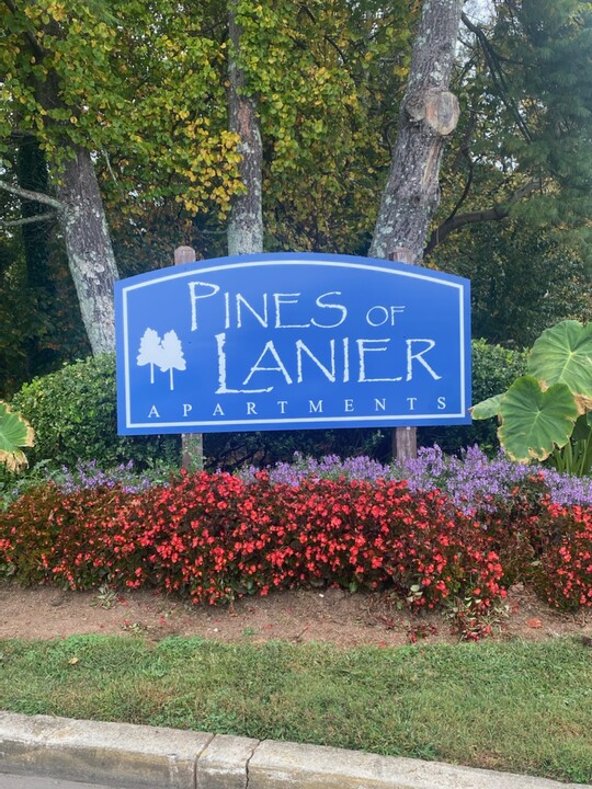 Pines of Lanier Apartments in Gainesville, GA - Building Photo