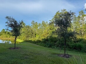 11166 Crescent Deer Dr in Land O Lakes, FL - Building Photo - Building Photo