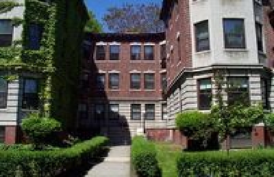 Trowbridge Court in Cambridge, MA - Building Photo - Building Photo