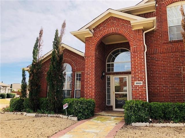3800 Rolling Hills Dr in Plano, TX - Building Photo - Building Photo