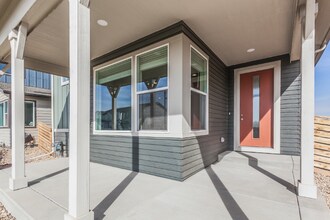 5648 Jedidiah Dr in Timnath, CO - Building Photo - Building Photo