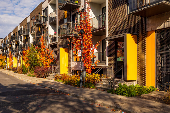 3511-3581 Saint-Dominique Rue in Montréal, QC - Building Photo - Building Photo