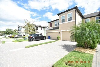 2538 Stapleford Pl in Zephyrhills, FL - Building Photo - Building Photo