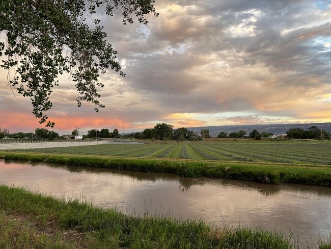 911-924 24 Rd in Grand Junction, CO - Building Photo - Building Photo