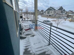 3700 Celestial Ave in Castle Rock, CO - Building Photo - Building Photo