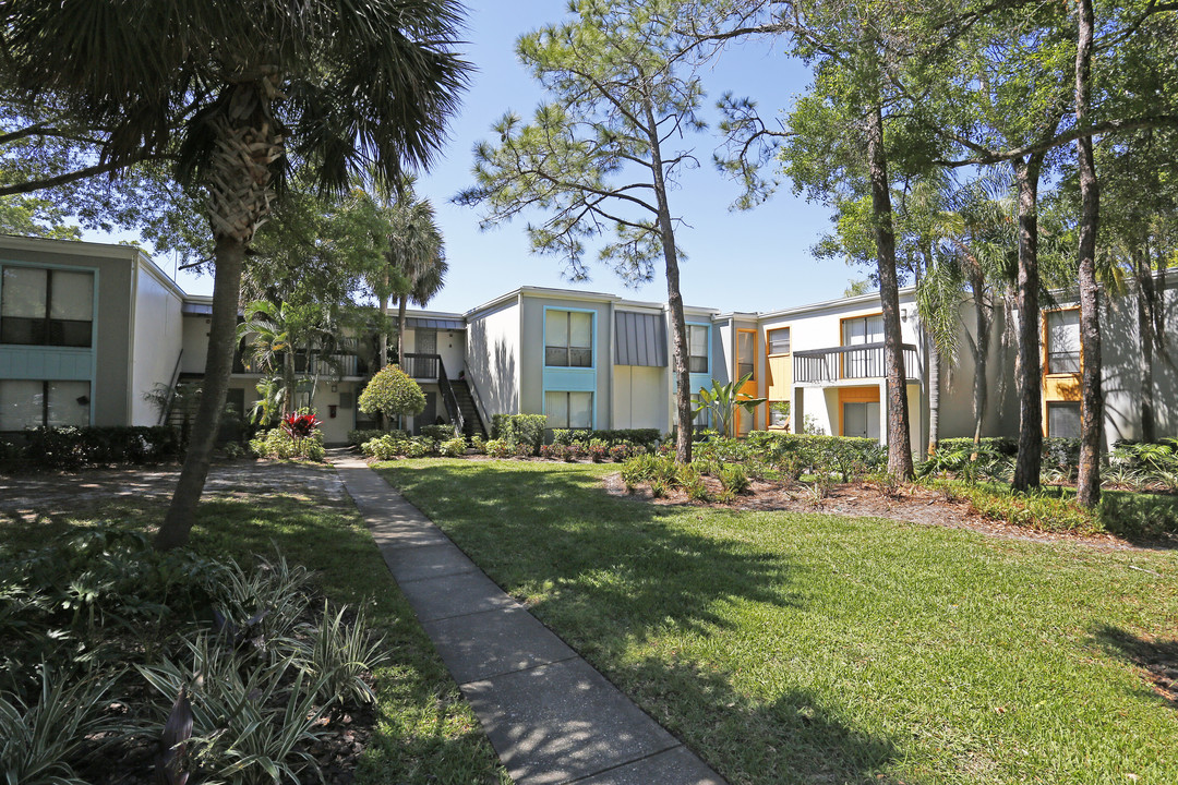 The Standard at 2690 in Clearwater, FL - Building Photo