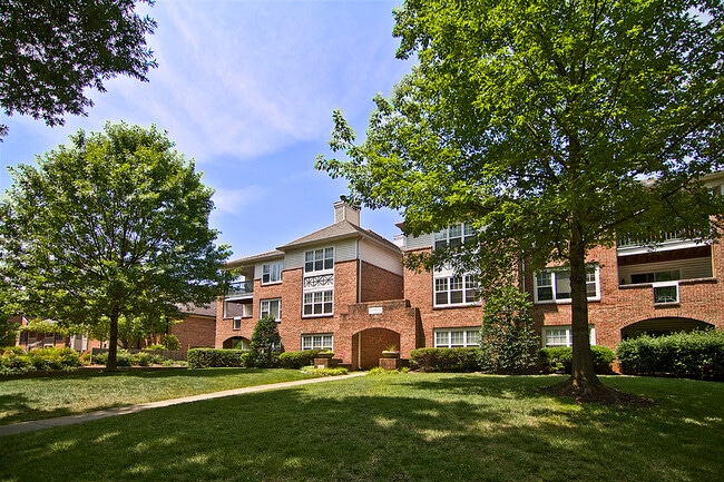 2424 Selwyn Ave in Charlotte, NC - Building Photo - Building Photo