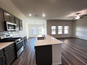 1333 Renoir Dr in Little Elm, TX - Building Photo - Building Photo