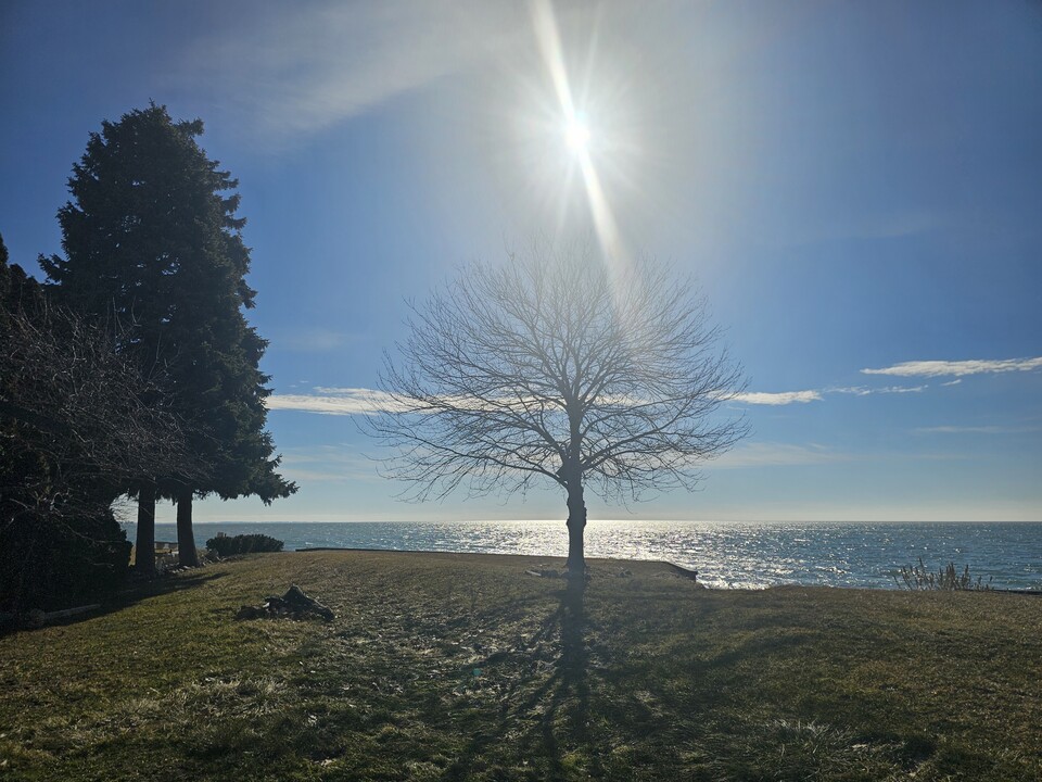 37252 Jefferson Ave, Unit 1 in Harrison Township, MI - Foto de edificio