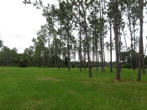 36426 Tanner Ln in Eustis, FL - Building Photo - Building Photo