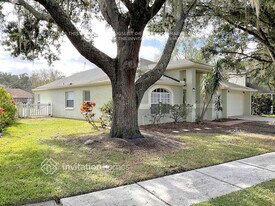 24314 Painter Dr in Land O Lakes, FL - Building Photo