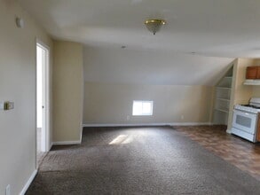 1116 Hancock St in Port Huron, MI - Building Photo - Building Photo