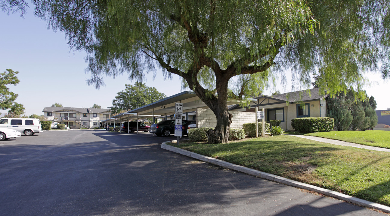 Holly Sierra Apartments in Fontana, CA - Building Photo