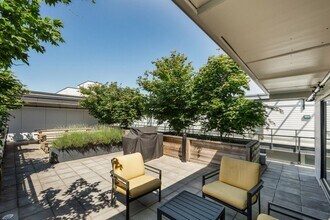 388 Kaslo East Village Apartments in Vancouver, BC - Building Photo - Building Photo