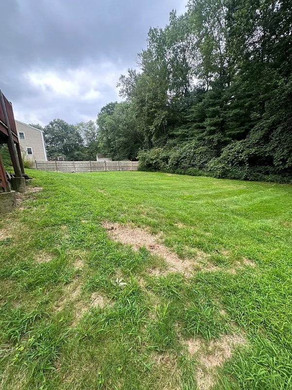 548 Linwood St in Abington, MA - Building Photo - Building Photo
