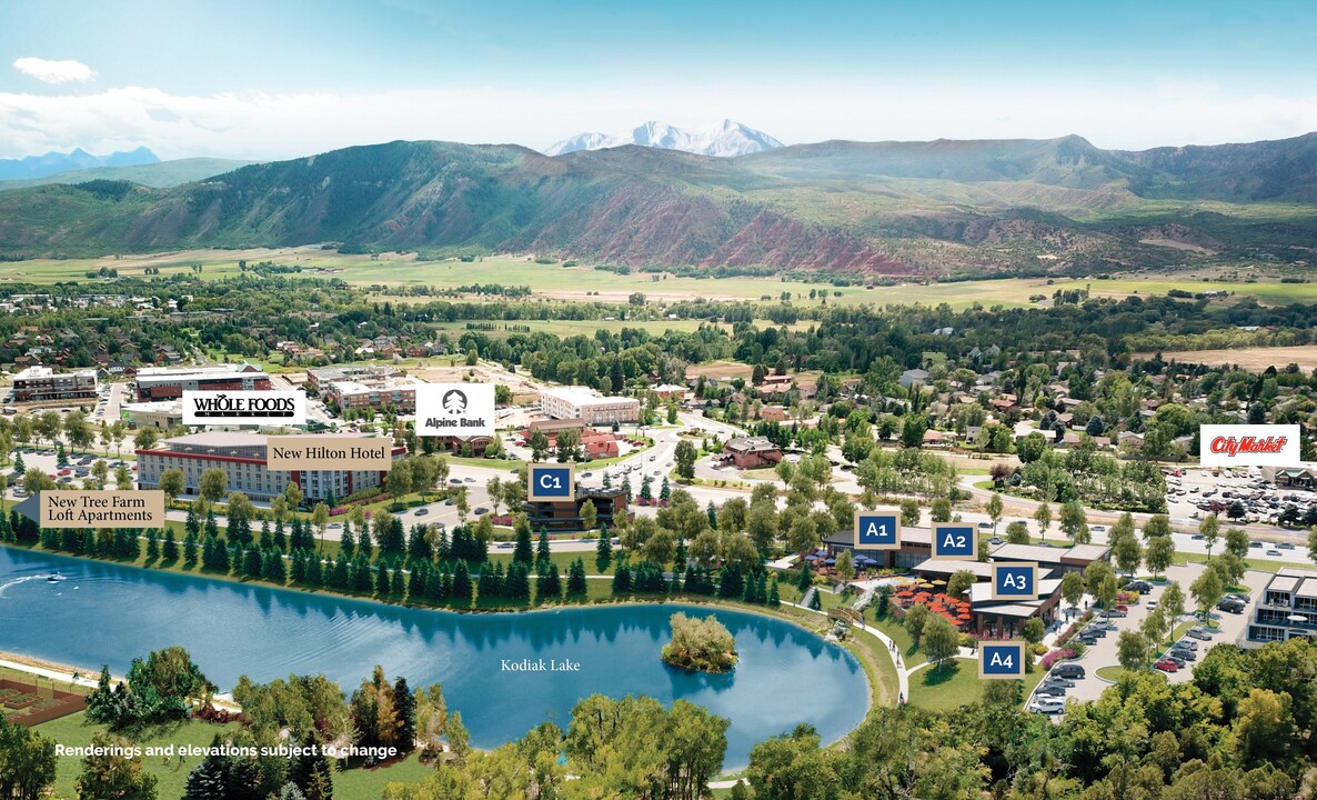 Tree Farm Lofts in Basalt, CO - Building Photo