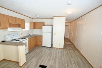 24455 Clennie Needham Rd in Porter, TX - Building Photo - Building Photo