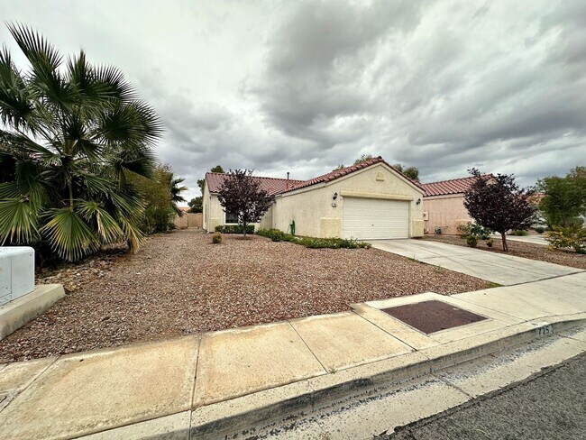 725 Hitchen Post Dr in Henderson, NV - Building Photo - Building Photo