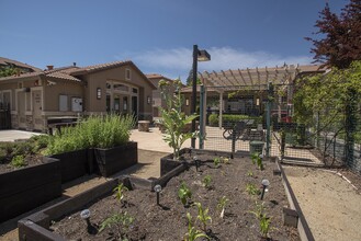 Adora Townhomes in Roseville, CA - Building Photo - Building Photo