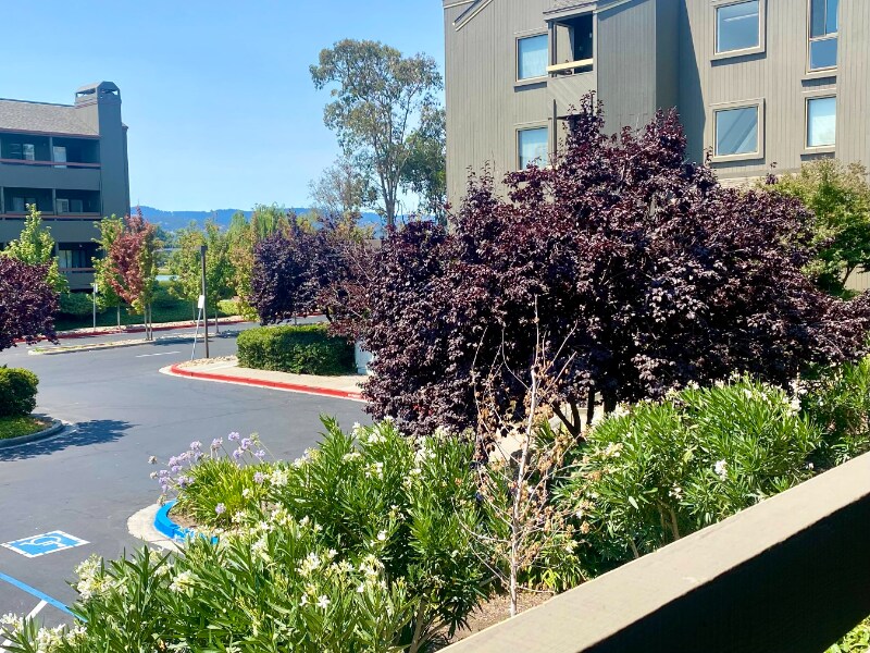 800 Sea Spray Ln in Foster City, CA - Building Photo