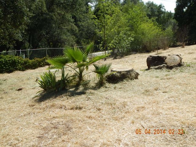 1546 Tavern Rd in Alpine, CA - Building Photo - Building Photo