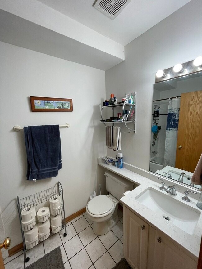 865 W Buckingham Pl in Chicago, IL - Building Photo - Building Photo