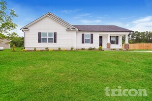 205 Tractor Pl in Willow Spring, NC - Building Photo