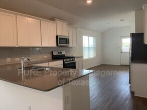 234 Milliner Lp in Hutto, TX - Building Photo - Building Photo