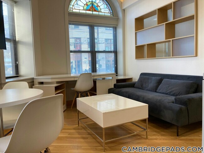 115 Mt Auburn St in Cambridge, MA - Building Photo - Building Photo