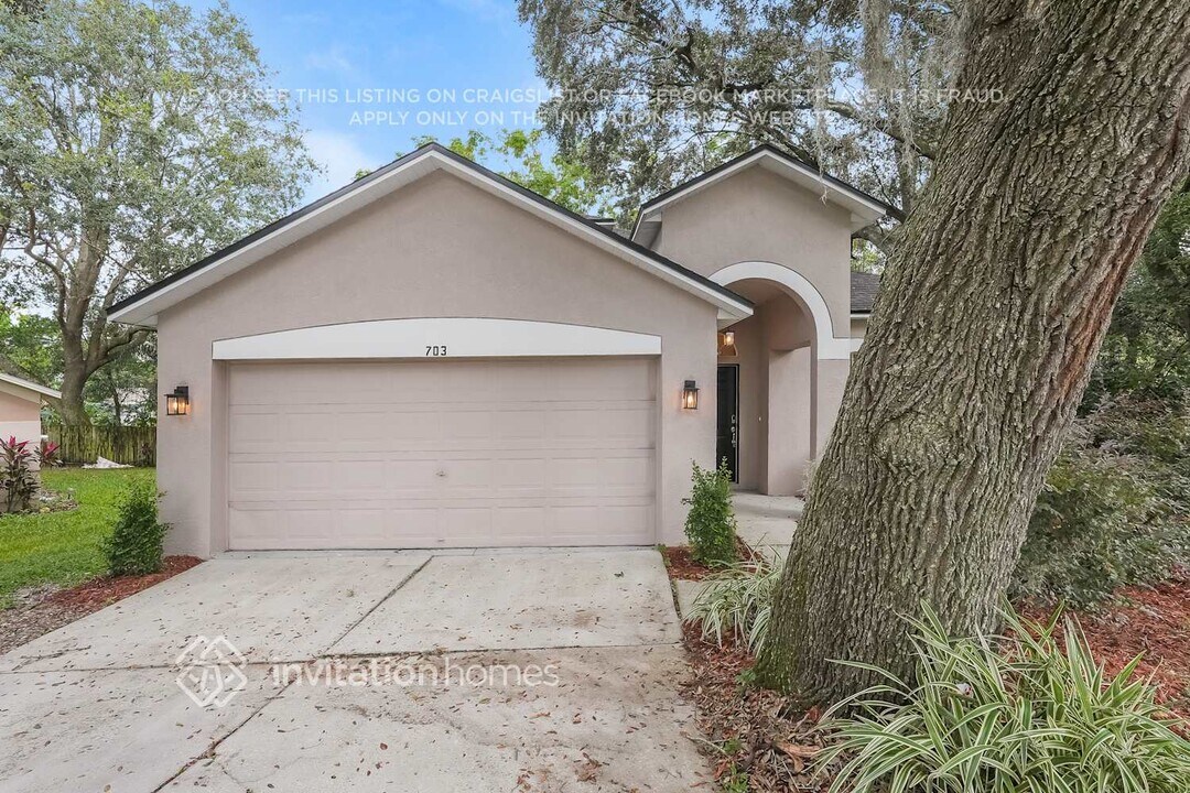 703 Rocky Mountain Ct in Valrico, FL - Foto de edificio