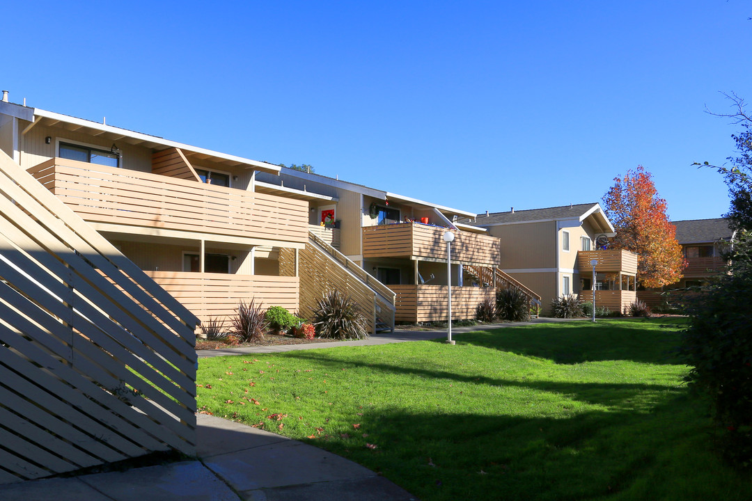 Morningside Apartments in Santa Rosa, CA - Building Photo