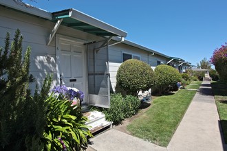 135 Redwood Ave in Corte Madera, CA - Foto de edificio - Building Photo