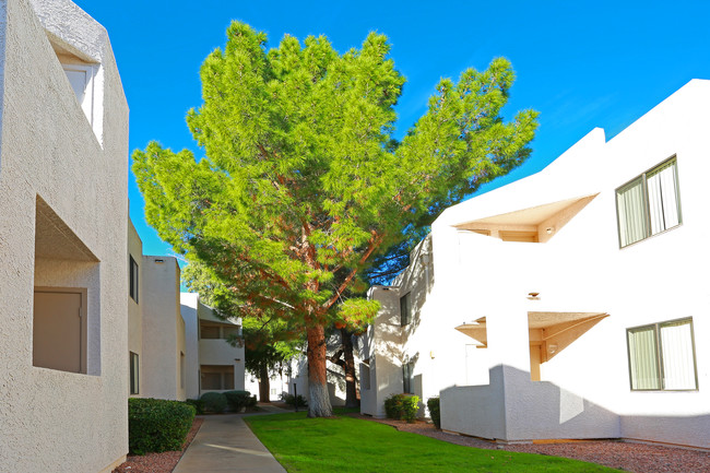 Desert Springs in Tucson, AZ - Foto de edificio - Building Photo