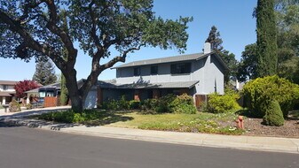 982 Desconsado Ave in Livermore, CA - Building Photo